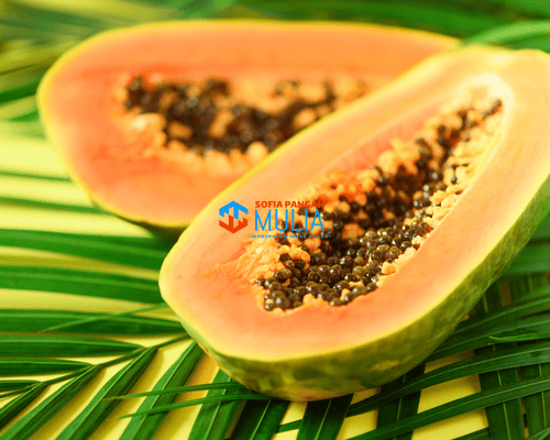 Pepaya